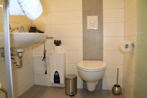 a bathroom with a toilet and a sink at Fewo Friedrichsruh in Bad Elster