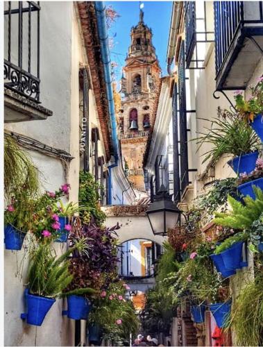Casa de las Flores