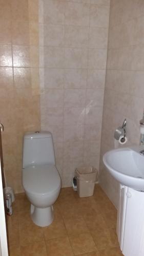 a bathroom with a white toilet and a sink at Tähe Holiday Home in Pärnu