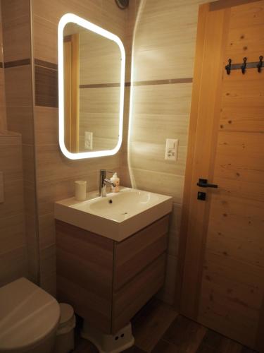 uma casa de banho com um lavatório, um espelho e um WC. em Appartement Noécie em Les Crosets