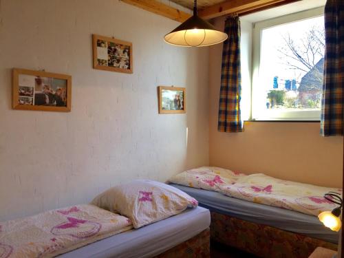2 Einzelbetten in einem Zimmer mit Fenster in der Unterkunft Ferienhof Fraider in Benz
