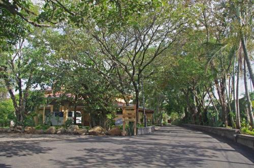 a tree lined road with a house in the distance at Hotel Robledal in Alajuela City