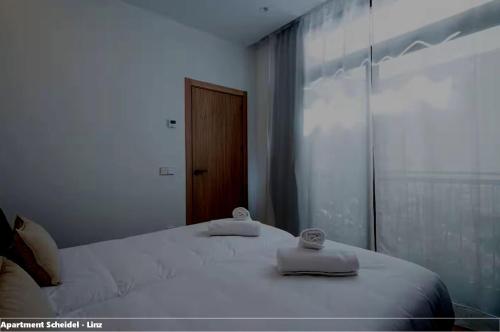 Apartment Scheidel