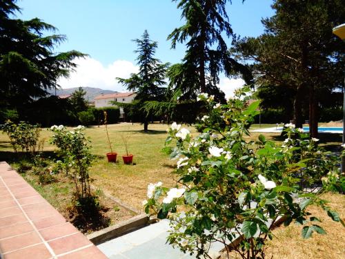 a garden with white flowers in a yard at Los Acebos in Otero de Herreros