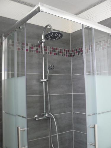 a shower with a glass door in a bathroom at Proximite circuit 24 heures in Le Mans