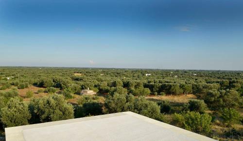 an overhead view of a field with trees and a building at Trullo Vista in Ostuni