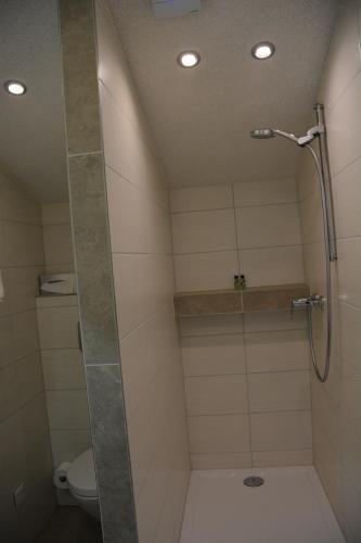 a shower with a glass door in a bathroom at Alpina Hotel in Rosenheim