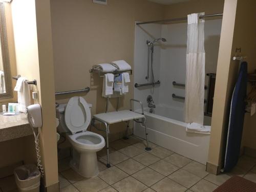 a bathroom with a toilet and a shower at Quality Inn & Suites Hanes Mall in Winston-Salem