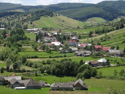 uma pequena aldeia num campo verde com casas em Pensiunea Margareta em Sita Buzăului