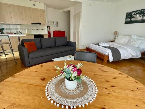 Apartment at Lausanne Center
