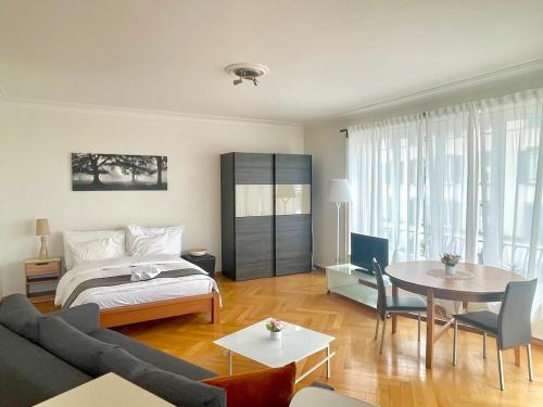 Apartment at Lausanne Center
