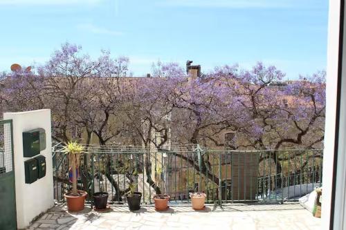 Hugo's Historic Studio