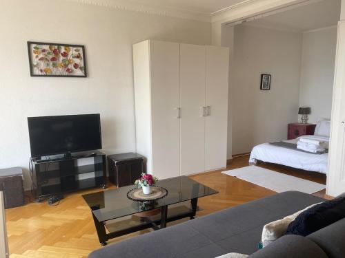Specious studio in Down with lake view