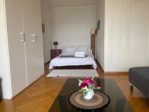 Specious studio in Down with lake view