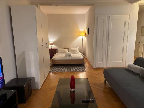 Specious studio in Down with lake view