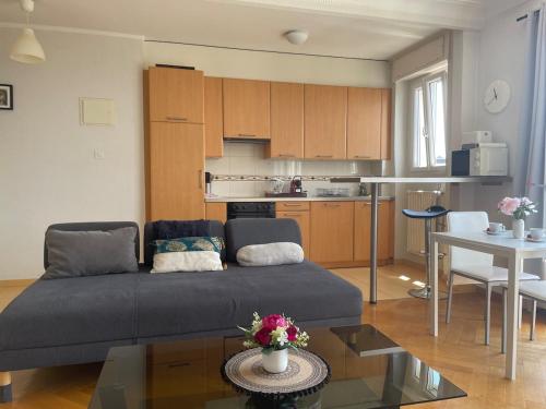 Specious studio in Down with lake view