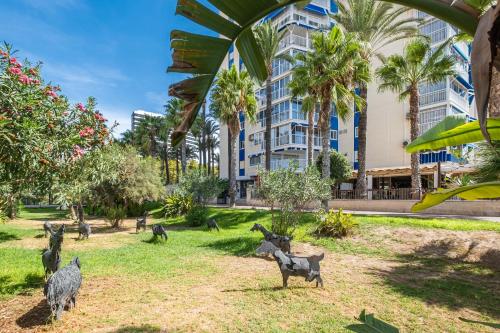 Ocean II 9-C Apartment Levante Beach