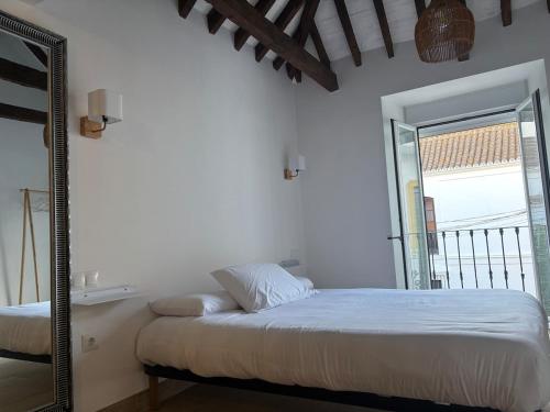 LHUZ Suite