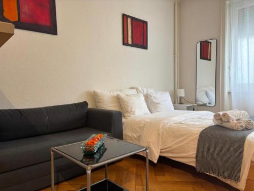 Studio near Lausanne centre and train station