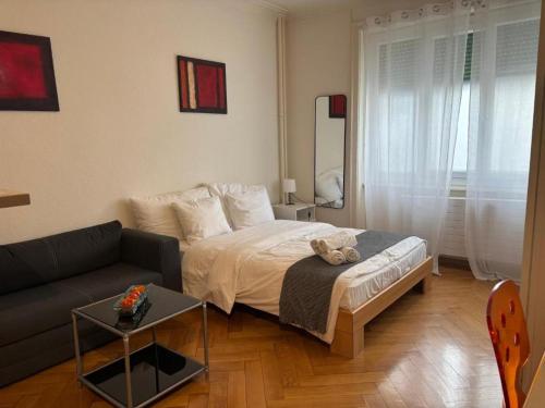 Studio near Lausanne centre and train station