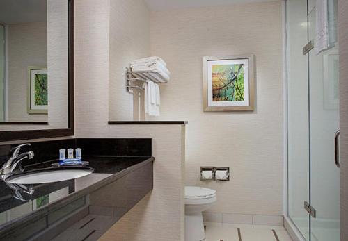 uma casa de banho com um WC, um lavatório e um chuveiro em Fairfield Inn & Suites by Marriott Detroit Canton em Canton