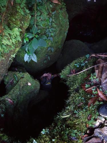 a group of rocks with moss and plants on them at Monte Mágico in Támesis