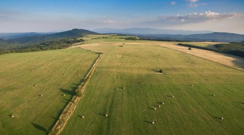 an aerial view of a large green field with animals at Macskakő Vendégház in Somoskőújfalu