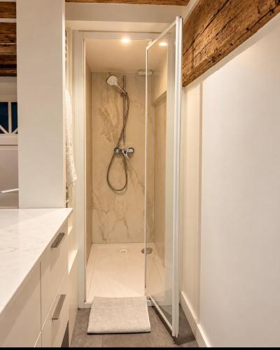 Private Entrance Designer Loft Place des Vosges