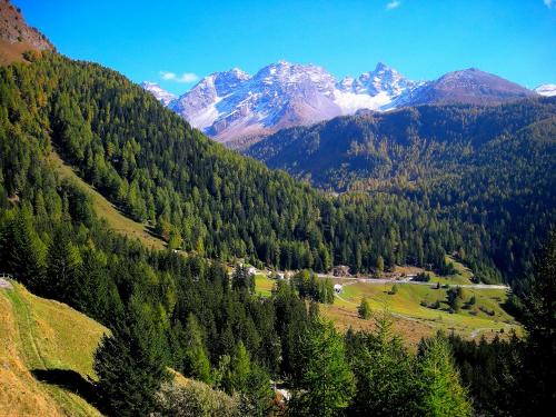 a valley with trees and snow capped mountains at B&B Il Crocevia in Teglio