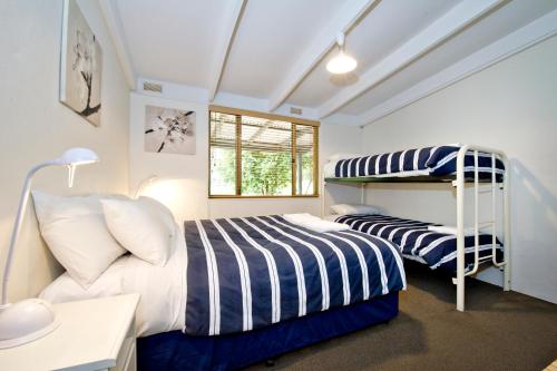 1 dormitorio con 2 camas y 1 litera en Peppermint Brook Cottages, en Margaret River Town