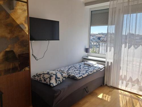 Assmayer City Roof Apartment Vienna