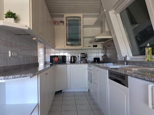 Assmayer City Roof Apartment Vienna