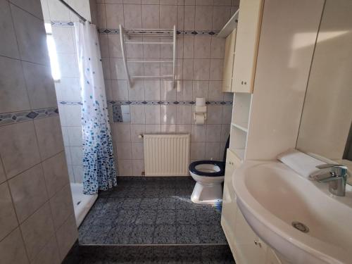 Assmayer City Roof Apartment Vienna