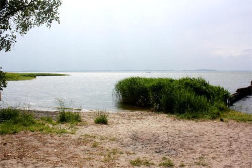 a beach with grass and a body of water at Wohnwagen Warthe USE 1773 in Warthe