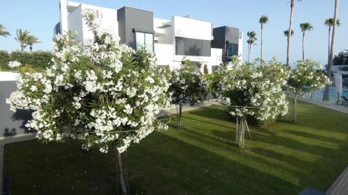 The Island Estepona Casa 5 Luxury Beachfront