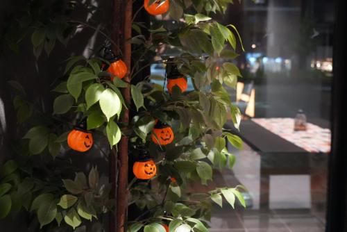 琥珀 Apartment Hotel Kyoto