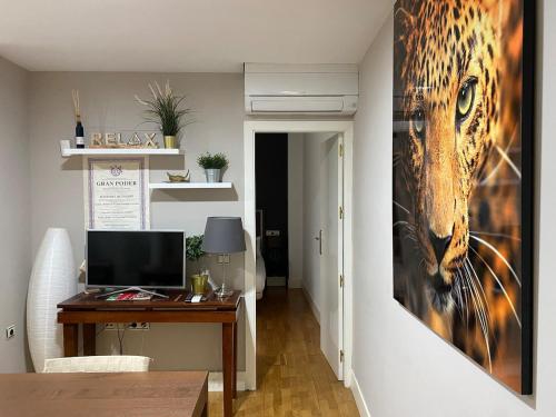 Metropol Suite II