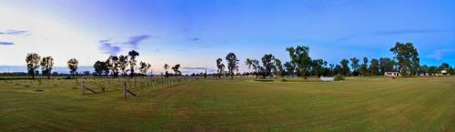 a large grass field with trees and a fence at The Duck Inn Apartments in Tamworth