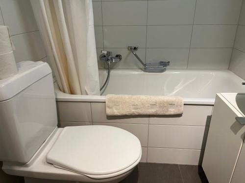 Furnished 1,5 Rooms Apartment Lausanne