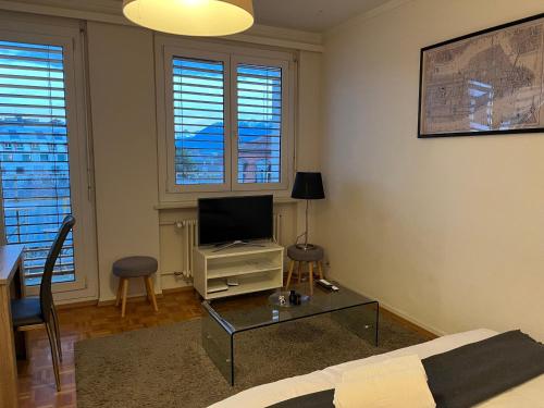 Furnished 1,5 Rooms Apartment Lausanne