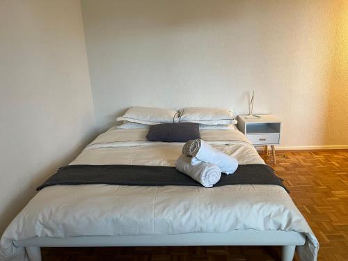 Furnished 1,5 Rooms Apartment Lausanne