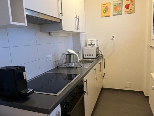 Furnished 1,5 Rooms Apartment Lausanne