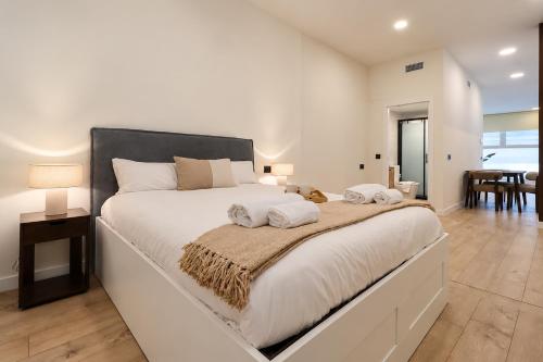 Madrid Urban Loft