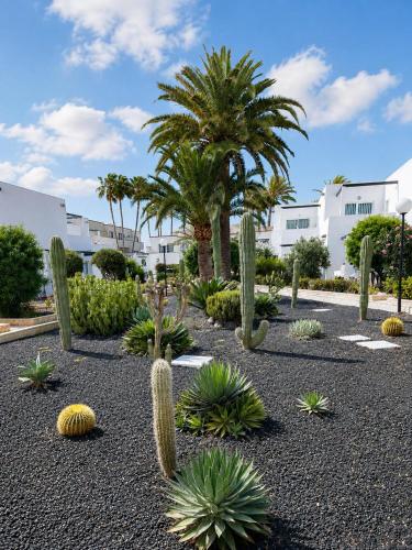 Alisio Living Corralejo