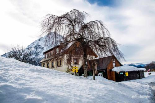 Stainach的住宿－Gasthof Dachsteinblick，雪中的房子,背景是山