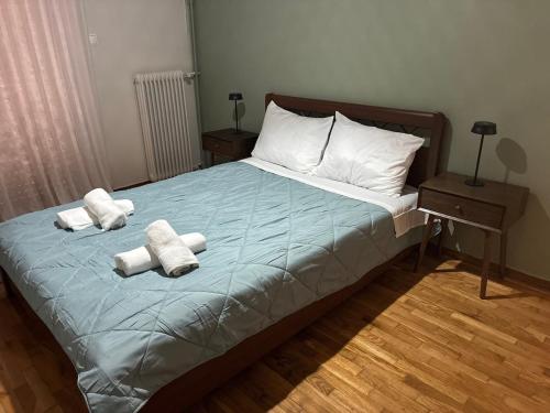 Muse Erato Modern Living by the Acropolis