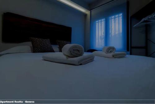 Apartment Roatta