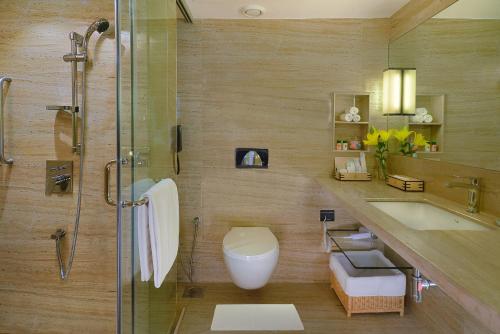 艾哈邁達巴德的住宿－Fortune Landmark, Ahmedabad - Member ITC's Hotel Group，带淋浴、卫生间和盥洗盆的浴室