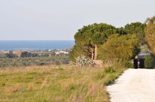 a dirt road with trees on the side of a field at Masseria Le Terrazze di Serranova in Serranova