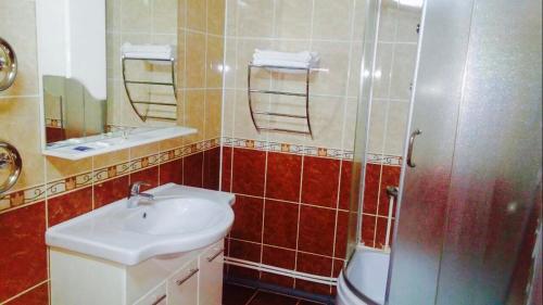 a bathroom with a sink and a shower and a toilet at Mini hotel 67 parallel in Nar'yan-Mar